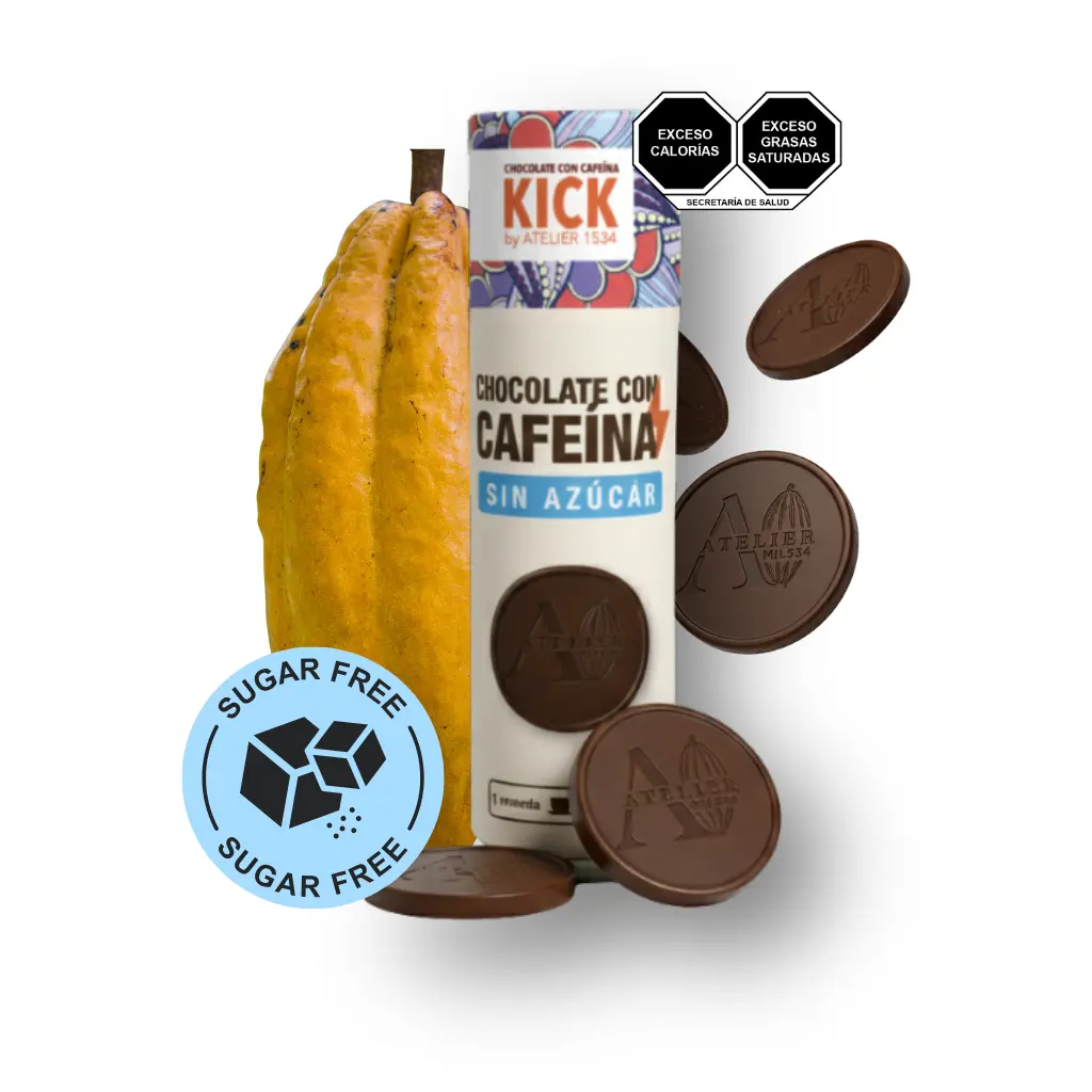 [15301] KICK: SUGAR FREE CHOCOLATE ENERGY BITES (ATELIER 1534)
